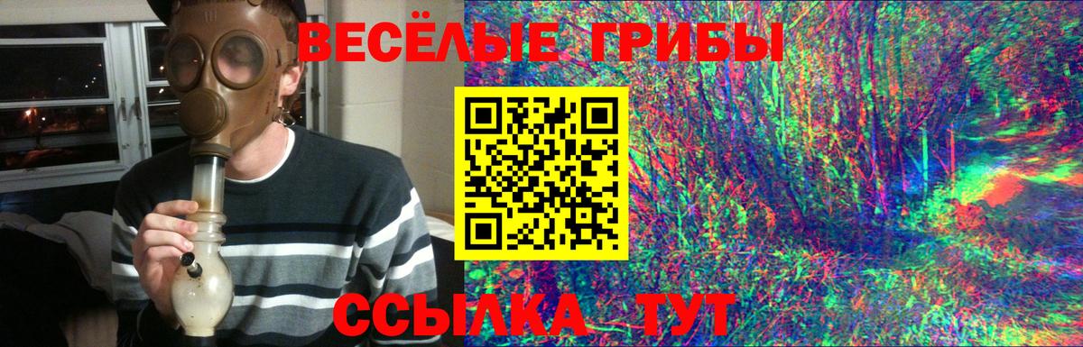 Галлюциногенные грибы прущие грибы Богородицк
